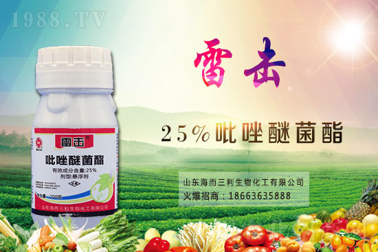 魔芋價(jià)格多少錢一斤？2021年魔芋種植前景如何？