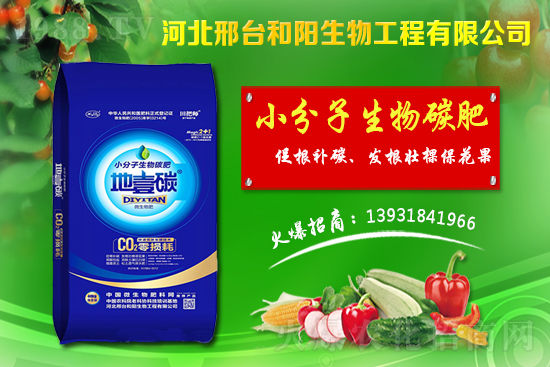 春節(jié)前小麥價格會不會漲？今日小麥價格行情！