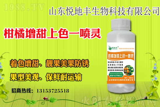 今年水稻價格多少錢一斤？水稻價格為何上漲？