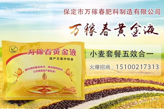 種植大蒜為什么要覆蓋地膜？地膜大蒜高產(chǎn)栽培及注意事項(xiàng)！