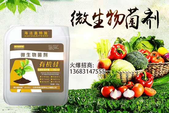 ������(l��i)�u��������m(x��)�͜�����������Ҫ�c(di��n)��