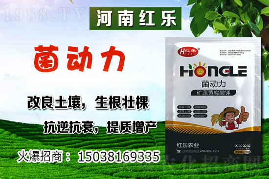 12�·��ܷNʲô�߲��������߲˷Nֲ����Щ������