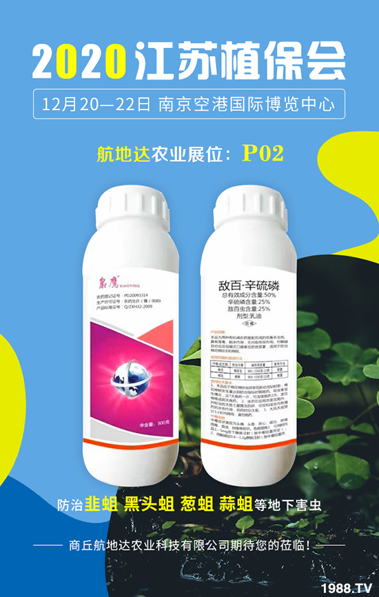 2020���Kֲ�����������_�r�I(y��)�����������@ϲ���������u�B�B��