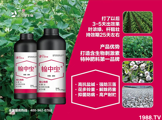 特種肥為什么這么火？有什么特點之處？