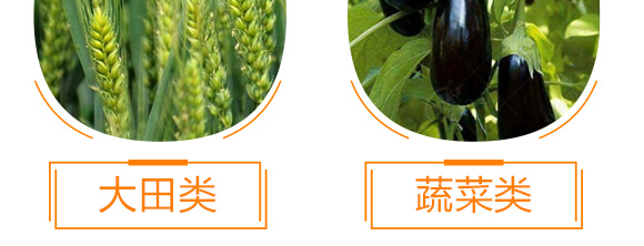 �ЙCˮ�ܷ���-���ĵ���-һ���r(n��ng)�I(y��)_11