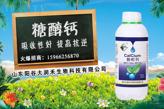 作物補鈣為什么要選擇糖醇鈣？糖醇鈣使用時期及使用效果！