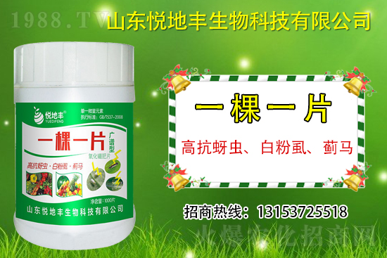 高抗蚜蟲、白粉虱、薊馬用什么打？一蟲不留？