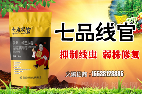     白菜根結(jié)線蟲危害極大！抓緊防治！白菜根結(jié)線蟲有效藥劑推薦！