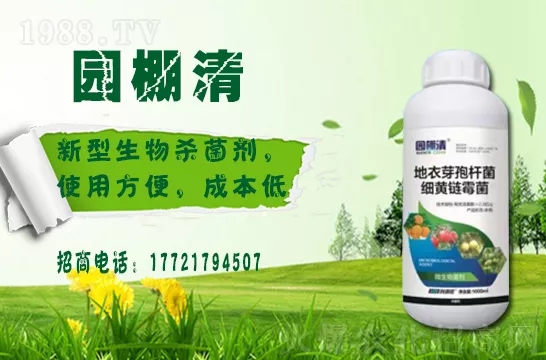 磷酸二氫鉀冬天用效果好嗎？磷酸二氫鉀如何提升植物抗寒能力的？