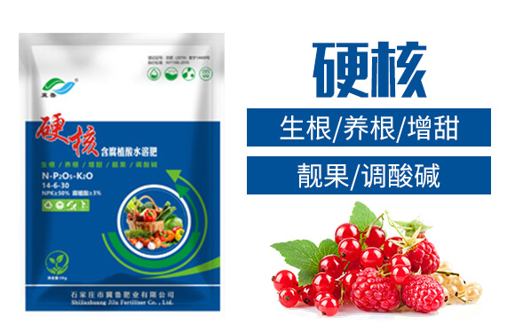 ����ֲ��ˮ�ܷ���-Ӳ��-�����ʘI(y��)_02