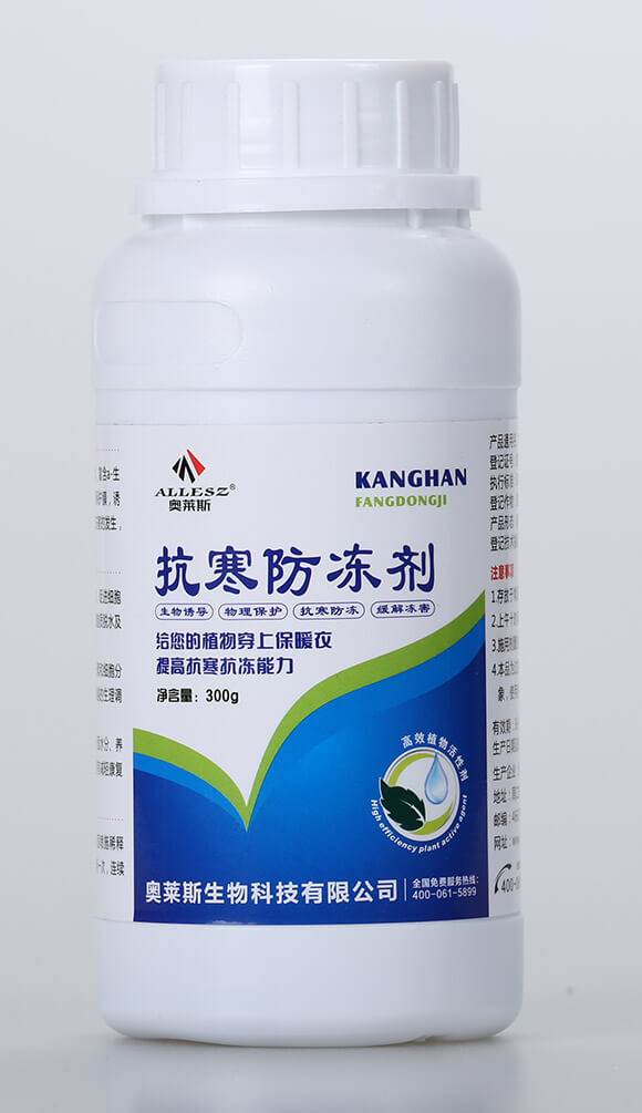 ����������-�W�R˹1