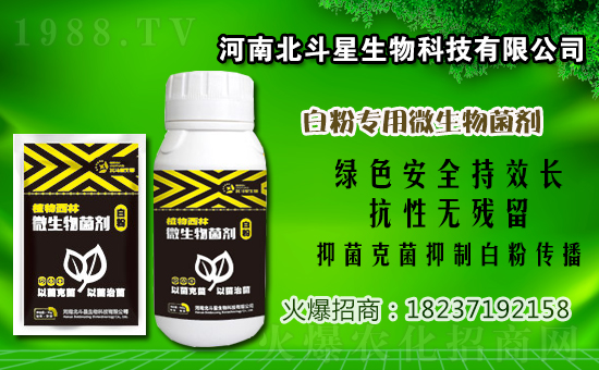 2020��12��31�Ն��������~�������r������