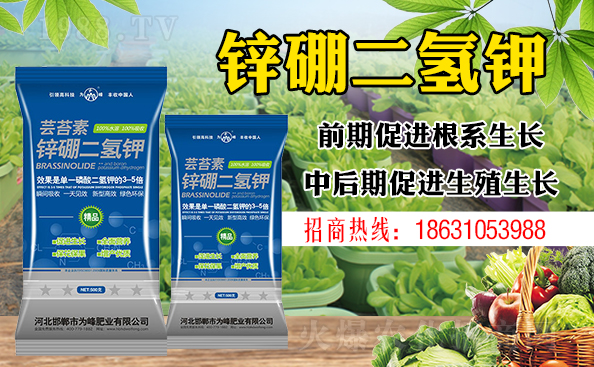 ����ƽ����(sh��)ԓ���ӝ�ˮ����ʲôˮ�ã�