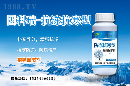 今日稻谷價(jià)格多少錢一斤？2020年12月9日稻谷價(jià)格行情