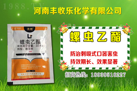 2021年棉花種植品種該怎么選？棉花選種要注意哪些問題？