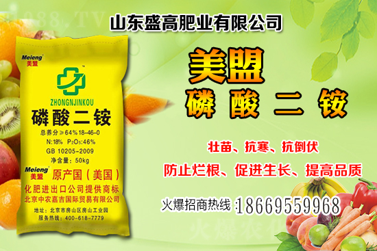近期小麥價(jià)格還會(huì)繼續(xù)上漲嗎？12月小麥價(jià)格行情分析