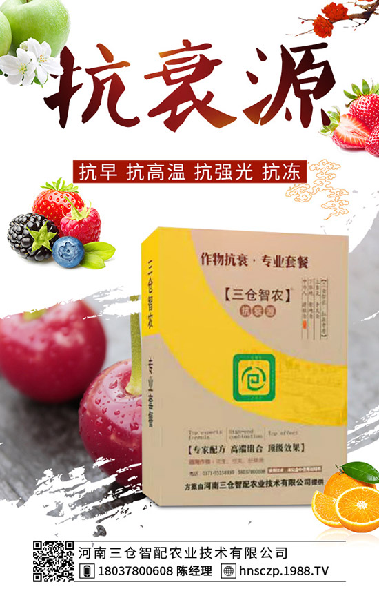 ���·��m�ϷNֲʲô�߲ˣ����·��߲˷Nֲע�������