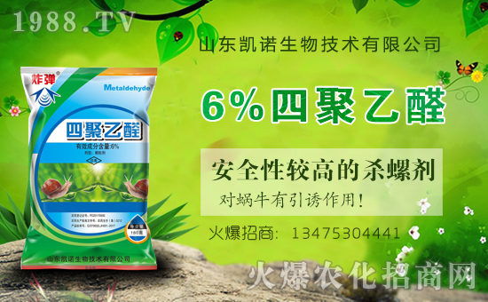 ����ף�R�P�Z���ﺞ�s���v1988.TV���_���W(w��ng)�j(lu��)������ģʽ��