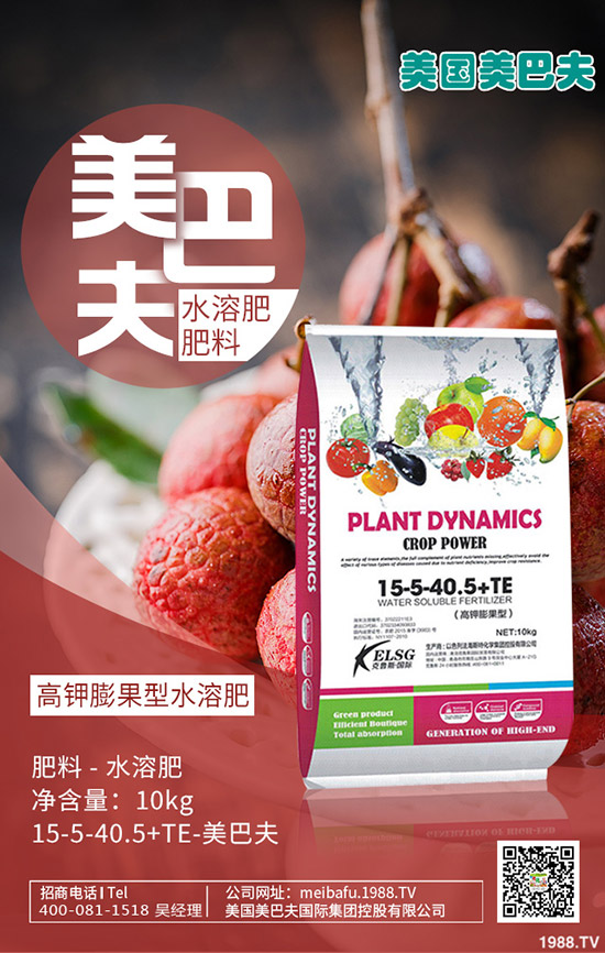     冬小麥進入三月如何管理？小麥管理重點及注意事項！