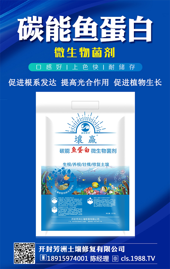 豆角種植時(shí)間，豆角生長(zhǎng)過(guò)程的管理要點(diǎn)！