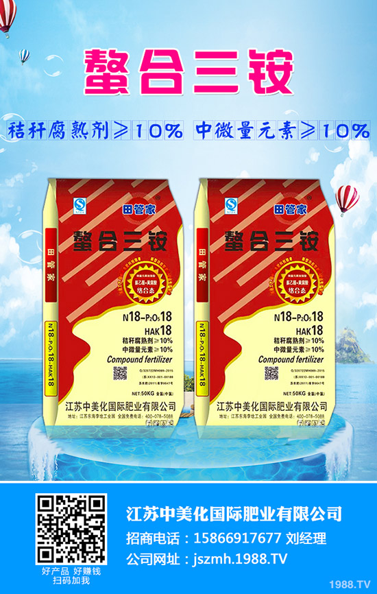 生菜水培的好處有哪些？生菜水培管理方法！