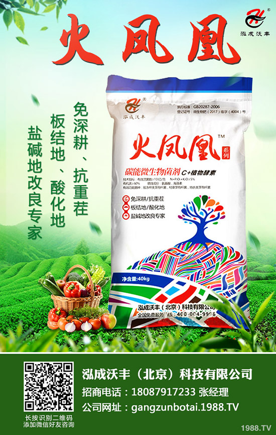 常見果樹蛀干害蟲有哪些，果樹蛀干害蟲如何消滅？