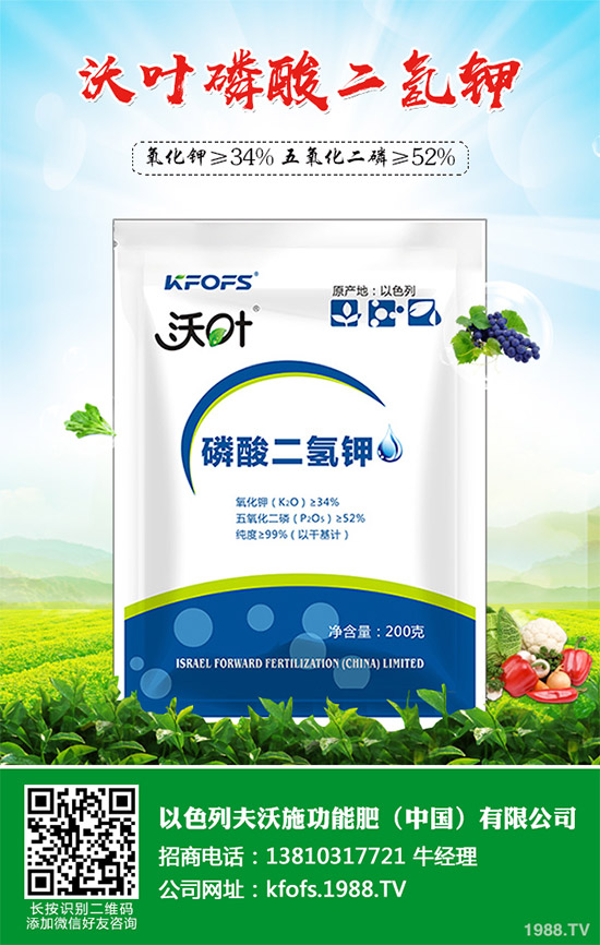 韭菜育苗需要移栽嗎？春季韭菜育苗移栽的注意事項(xiàng)