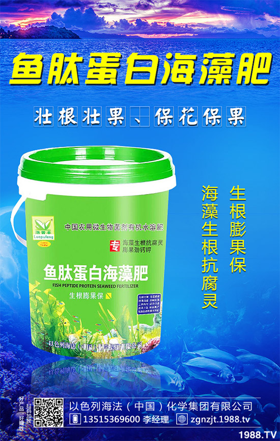 韭菜育苗需要移栽嗎？春季韭菜育苗移栽的注意事項(xiàng)