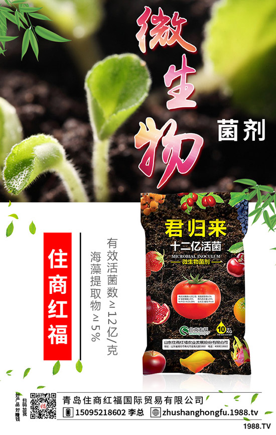 番茄肥害的典型癥狀有哪些，番茄發(fā)生肥害怎么辦？