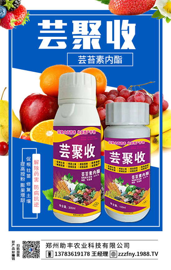 ���r(n��ng)���W(w��ng)�ٺ��������S�r(n��ng)�I(y��)�����M(j��n)��(zh��n)�Ժ���������(j��)��