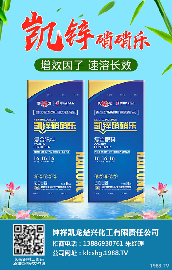 蠶豆該怎么種？蠶豆的種植技術(shù)及病害防治要點