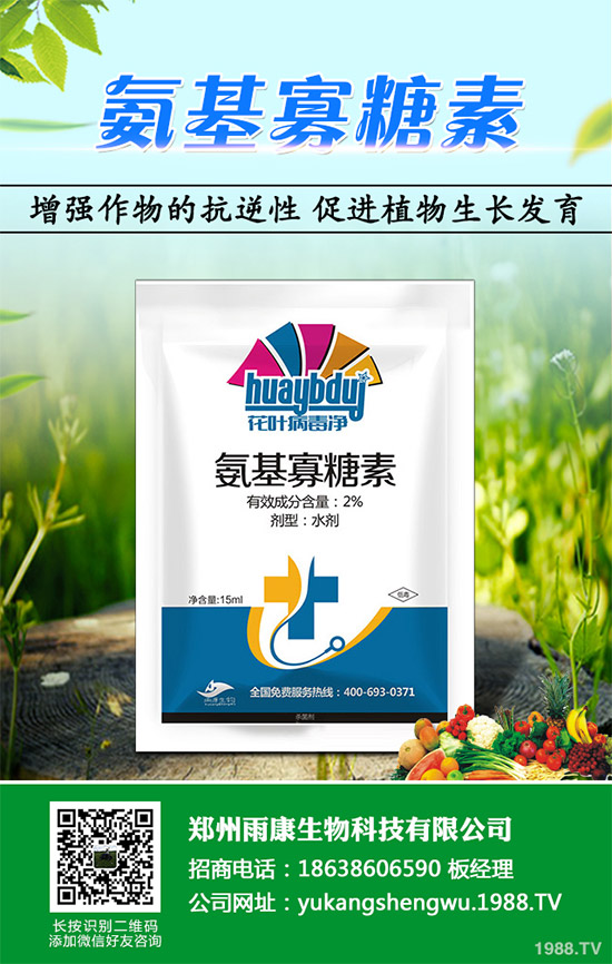 蠶豆該怎么種？蠶豆的種植技術(shù)及病害防治要點