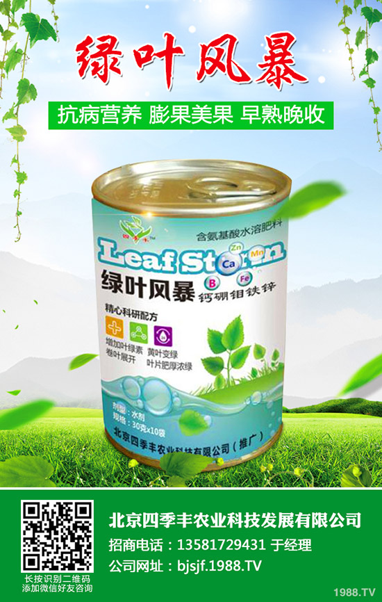 辣椒白粉病為何難防治？辣椒白粉病發(fā)病原因及防治！