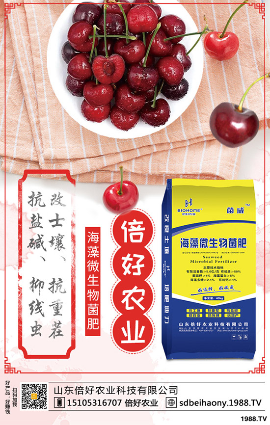     復(fù)合肥行情走勢一般！觀望運(yùn)行！最新復(fù)合肥價(jià)格早報(bào)2020-3-18！