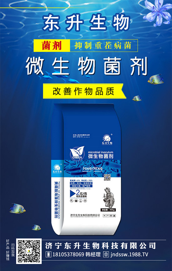 �²�Ʒ�N����Щ���²˵��B(y��ng)ֳע�����(xi��ng)��