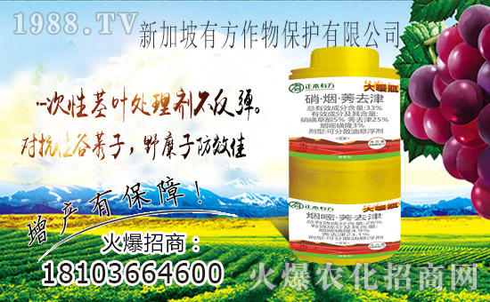 ��ռ�̙C���������A���¼����з����ﱣ�o���v1988.TV��