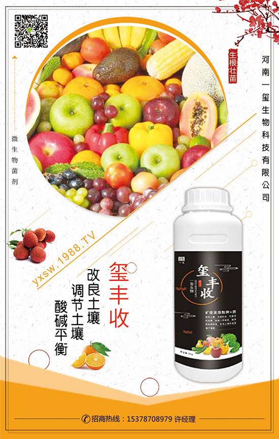 葫蘆的生長(zhǎng)習(xí)性，葫蘆種植技術(shù)要點(diǎn)！