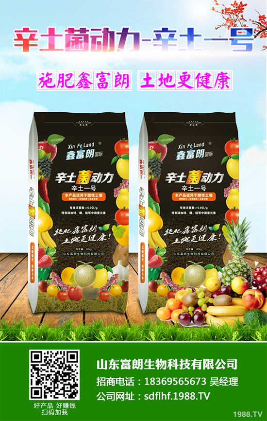 你知道春花生什么時候播種嗎？2020年春花生種植方法講解
