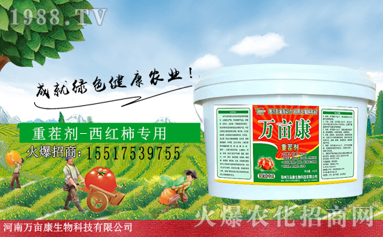 �����f�����𱬁��u���ٺ����r(n��ng)�����̾W(w��ng)�_��(chu��ng)���x����