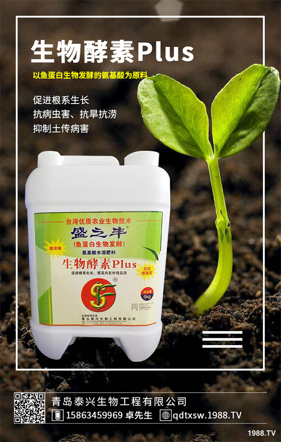 菜菔子有哪些神奇功效？萊菔子的功效作用及食用禁忌