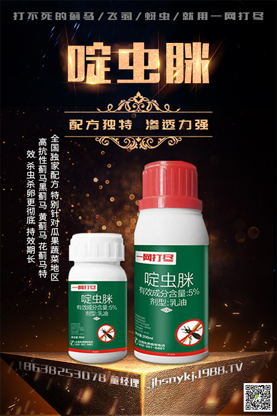 白粉虱對(duì)辣椒有什么危害？辣椒白粉虱怎樣防治好？