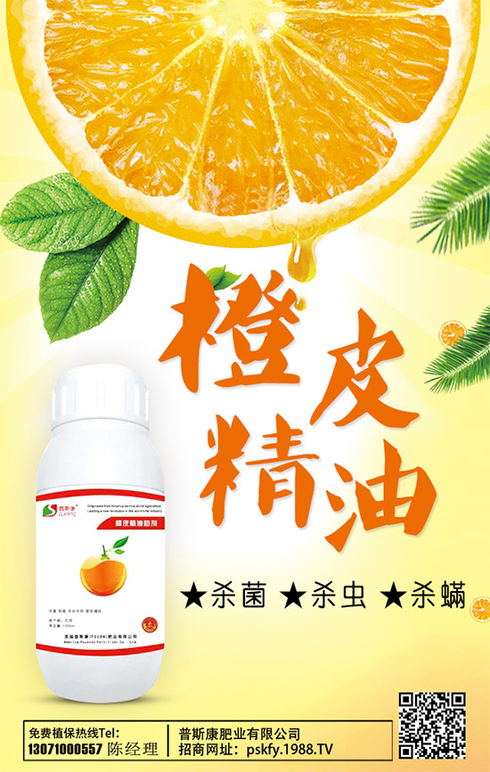 ��(zh��n)�Ժ�������������˹���ʘI(y��)�y��1988.TV�ل�(chu��ng)�x����