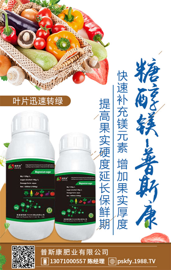 ��(zh��n)�Ժ�������������˹���ʘI(y��)�y��1988.TV�ل�(chu��ng)�x�ͣ�