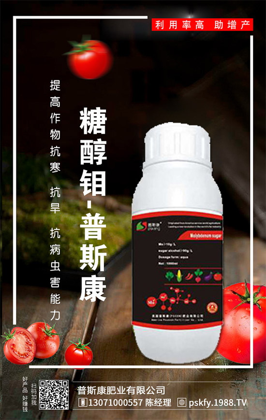 ��(zh��n)�Ժ�������������˹���ʘI(y��)�y��1988.TV�ل�(chu��ng)�x����