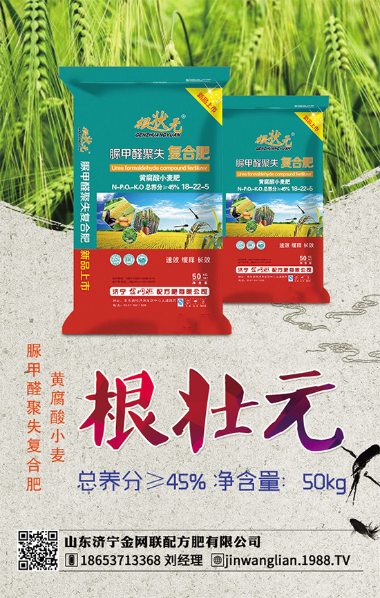 露地茄子該如何種植？茄子春季種植管理技術要點