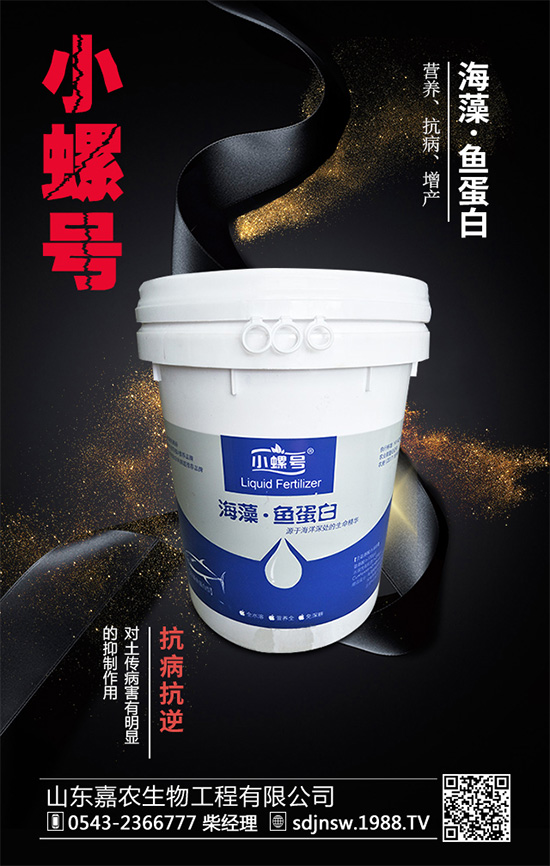 露地茄子該如何種植？茄子春季種植管理技術要點