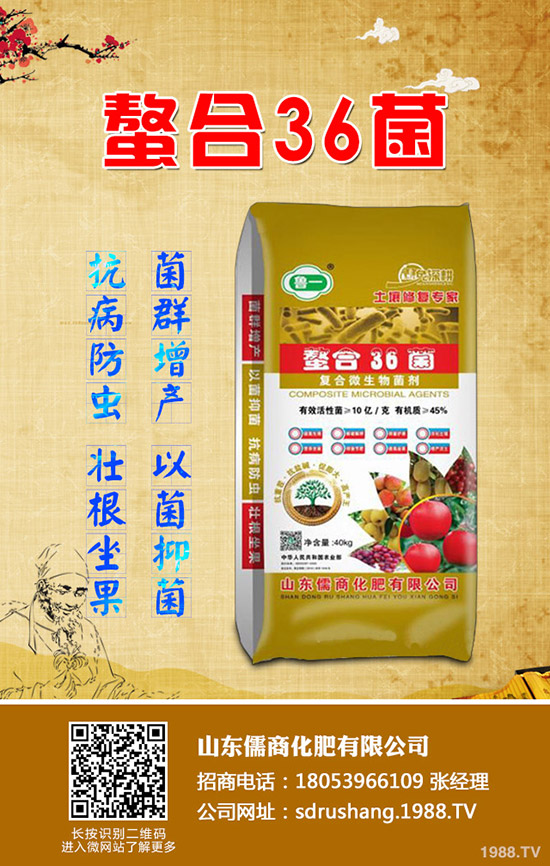     蘋果樹(shù)春季管理需要注意的12大誤區(qū)！值得你收藏！