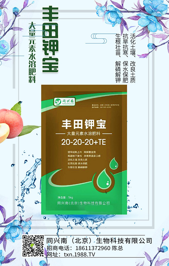 豌豆什么時候種，豌豆種植時間及種植要點！