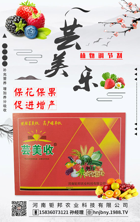 花生白絹病有什么危害？花生白絹病的防治措施！