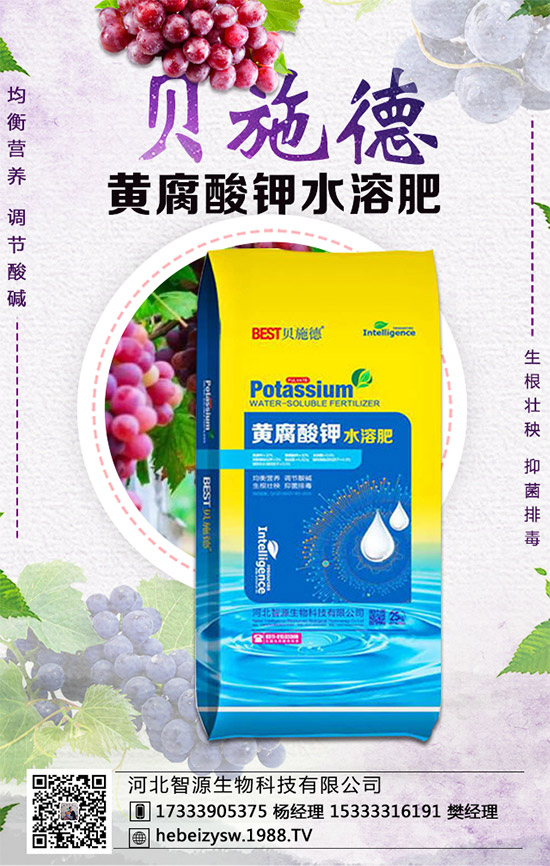 �۲˵ĠI(y��ng)�B(y��ng)�r(ji��)ֵ����Щ�������۲���ʲô��̎��